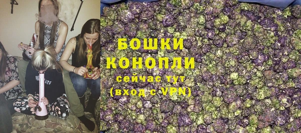 Альфа ПВП Нея