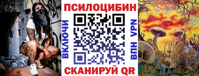 магазин  наркотиков  Лиски  Псилоцибиновые грибы Psilocybine cubensis 